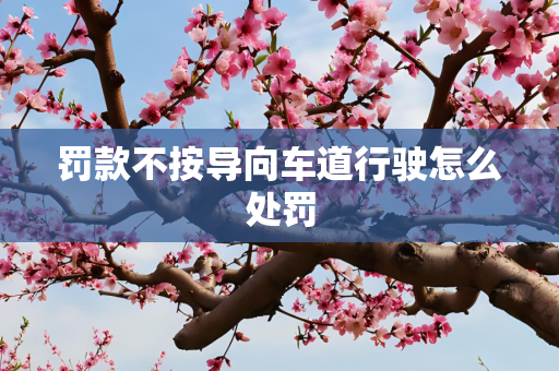 罚款不按导向车道行驶怎么处罚