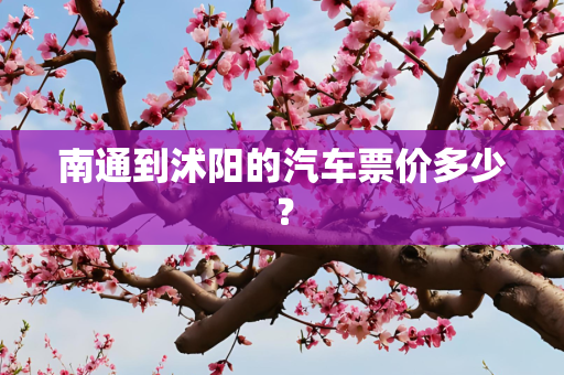 南通到沭阳的汽车票价多少？