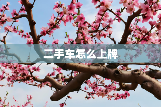 二手车怎么上牌