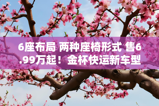 6座布局 两种座椅形式 售6.99万起！金杯快运新车型正式上市