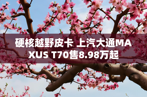硬核越野皮卡 上汽大通MAXUS T70售8.98万起