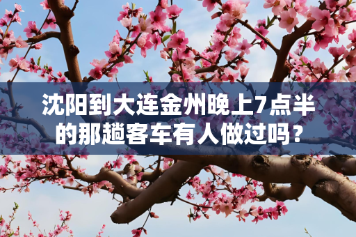 沈阳到大连金州晚上7点半的那趟客车有人做过吗？
