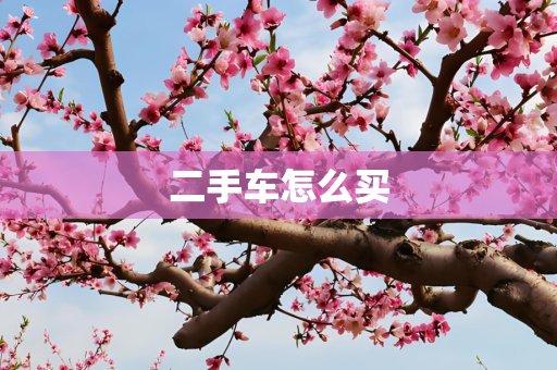 二手车怎么买