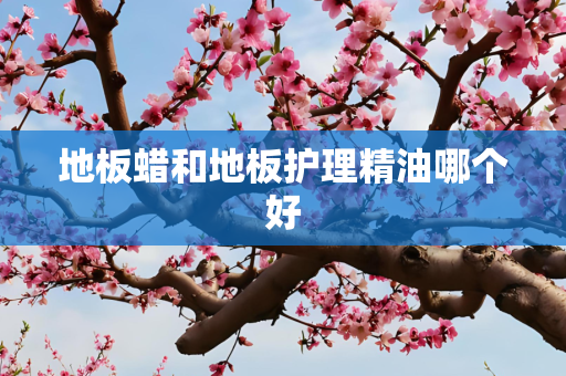 地板蜡和地板护理精油哪个好