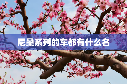 尼桑系列的车都有什么名