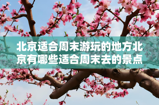 北京适合周末游玩的地方北京有哪些适合周末去的景点？