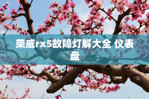 荣威rx5故障灯解大全 仪表盘