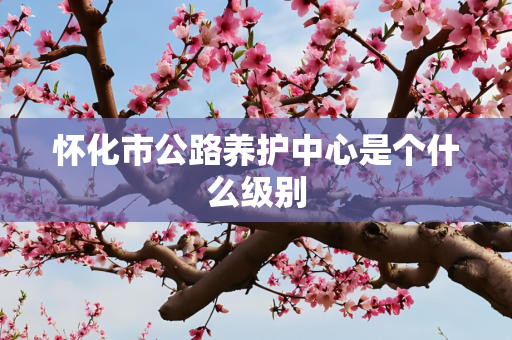 怀化市公路养护中心是个什么级别