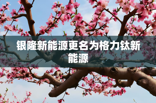 银隆新能源更名为格力钛新能源