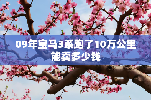 09年宝马3系跑了10万公里能卖多少钱
