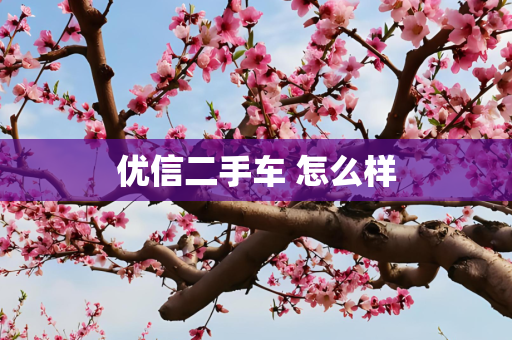 优信二手车 怎么样