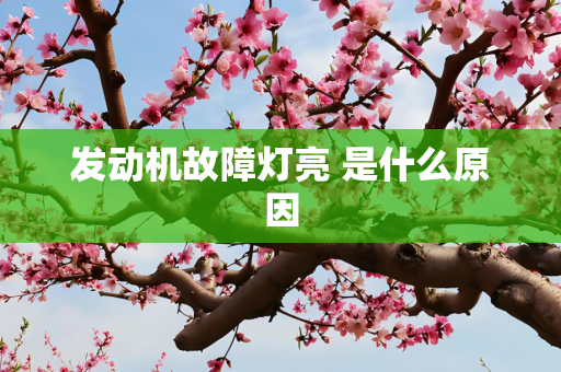 发动机故障灯亮 是什么原因