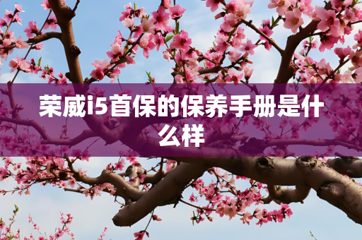 荣威i5首保的保养手册是什么样