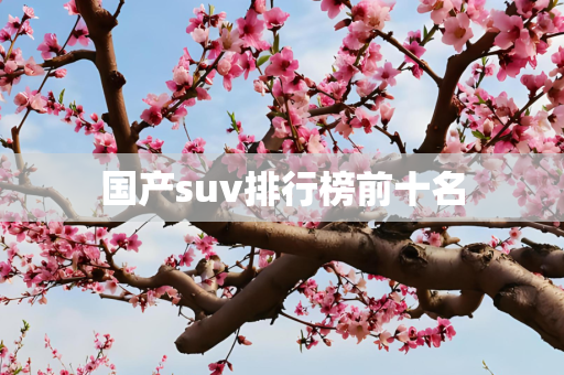 国产suv排行榜前十名