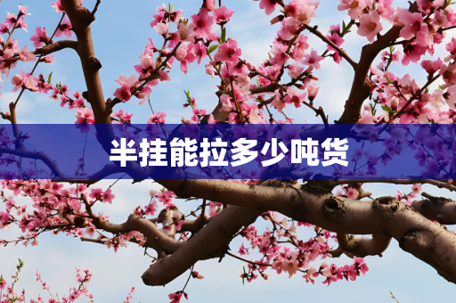 半挂能拉多少吨货