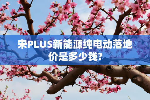 宋PLUS新能源纯电动落地价是多少钱?