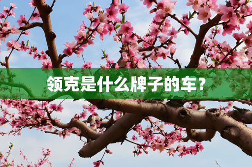 领克是什么牌子的车？