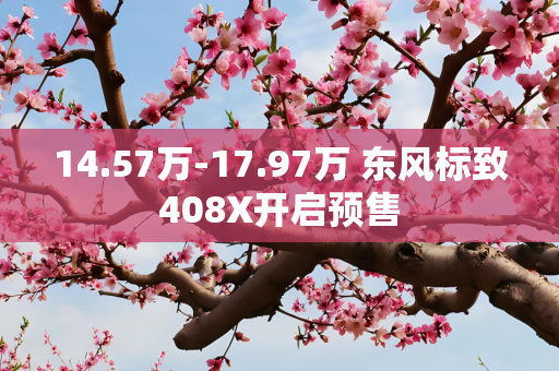 14.57万-17.97万 东风标致408X开启预售