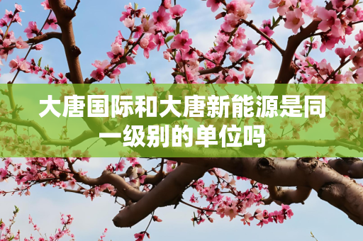 国际 第29页