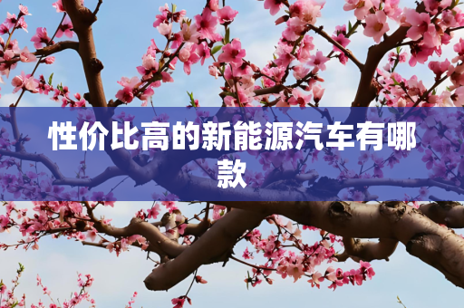 性价比高的新能源汽车有哪款