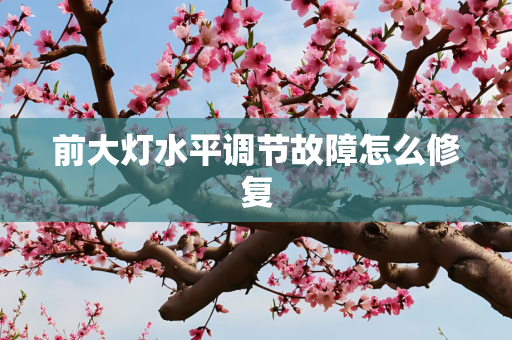 前大灯水平调节故障怎么修复