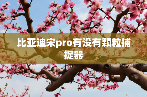 比亚迪宋pro有没有颗粒捕捉器
