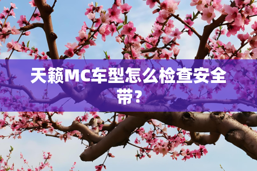 天籁MC车型怎么检查安全带？