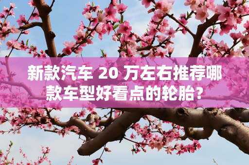 新款汽车 20 万左右推荐哪款车型好看点的轮胎？
