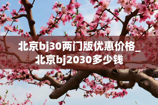 北京bj30两门版优惠价格_北京bj2030多少钱