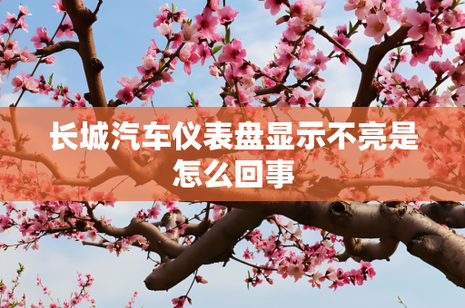 长城汽车仪表盘显示不亮是怎么回事