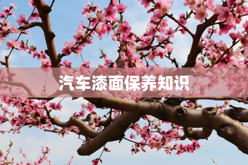 汽车漆面保养知识