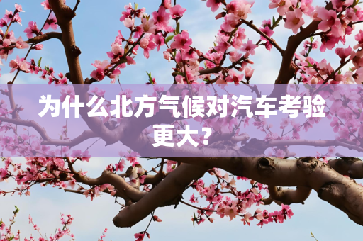 为什么北方气候对汽车考验更大？