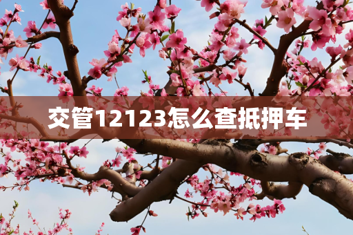 交管12123怎么查抵押车