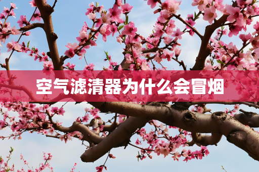 空气滤清器为什么会冒烟