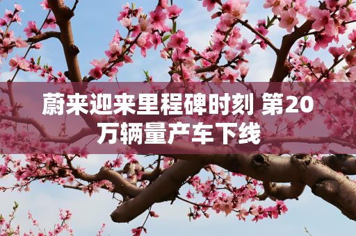 经济 第41页