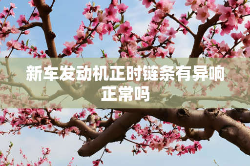 新车发动机正时链条有异响正常吗