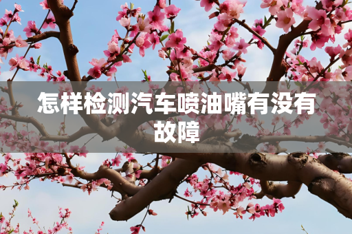 怎样检测汽车喷油嘴有没有故障