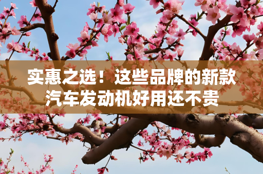 实惠之选！这些品牌的新款汽车发动机好用还不贵