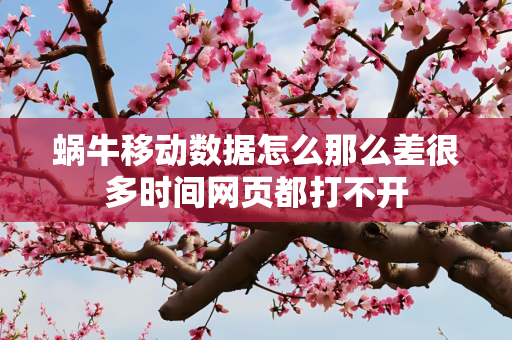 蜗牛移动数据怎么那么差很多时间网页都打不开