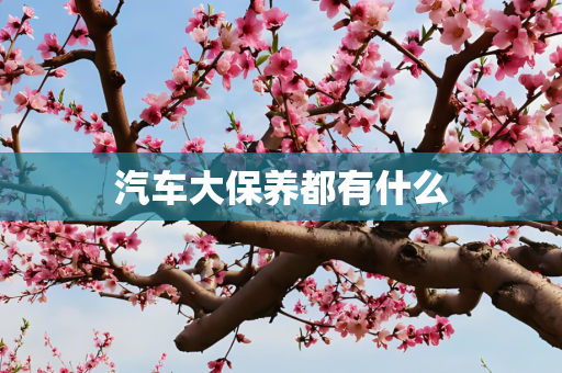 汽车大保养都有什么
