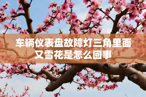 车辆仪表盘故障灯三角里面又雪花是怎么回事
