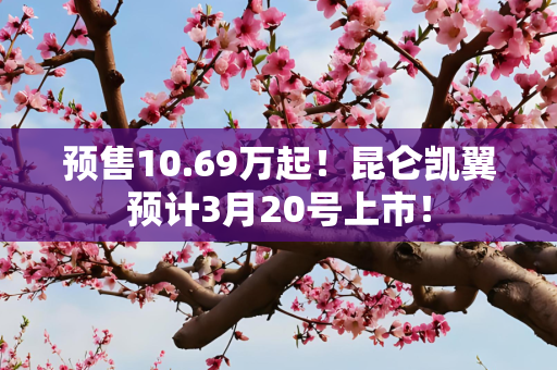 预售10.69万起！昆仑凯翼预计3月20号上市！