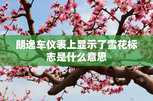 朗逸车仪表上显示了雪花标志是什么意思