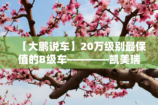【大鹏说车】20万级别最保值的B级车————凯美瑞 / 大众CC
