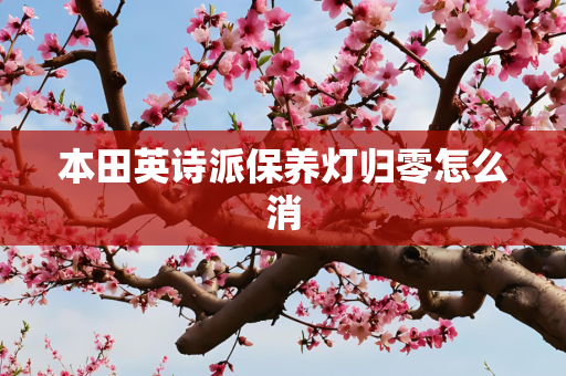 本田英诗派保养灯归零怎么消