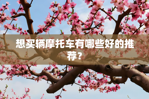 想买辆摩托车有哪些好的推荐？