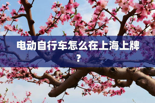 电动自行车怎么在上海上牌？