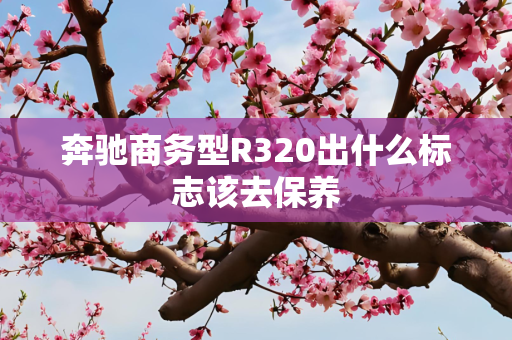 奔驰商务型R320出什么标志该去保养
