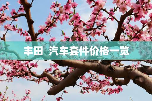 丰田  汽车套件价格一览