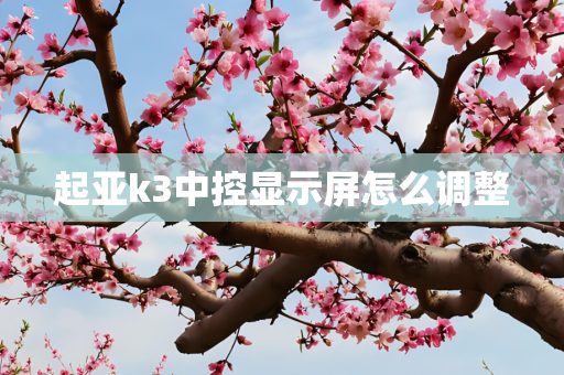 起亚k3中控显示屏怎么调整